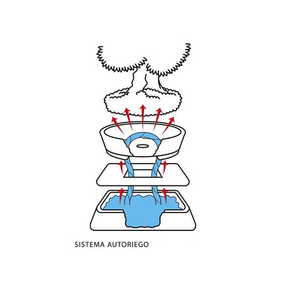 Sistema di autoirrigazione per bonsai 15 cm