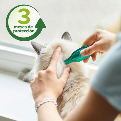 Natürliche Parasitenabwehr-Pipetten für Katzen 3x1 ml
