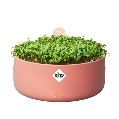 Elho Terra Magic Microgreens Sprouter