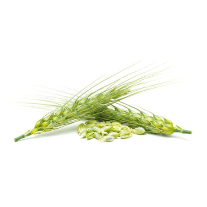 Levadura de Cerveza El Granero, 500 Comprimidos 400 mg