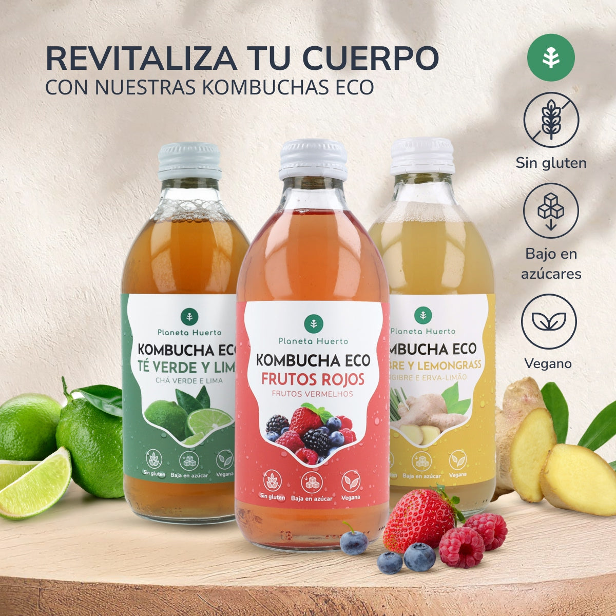 Opakowanie 6x Kombucha ECO zielona herbata i limonka Planeta Huerto 330 ml