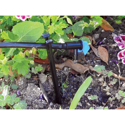 Compte-gouttes Bandera 4 l/h Aqua Control 10 unités