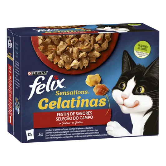 FELIX Sensations Festín de Sabores in Gelatine 12 x 85 g