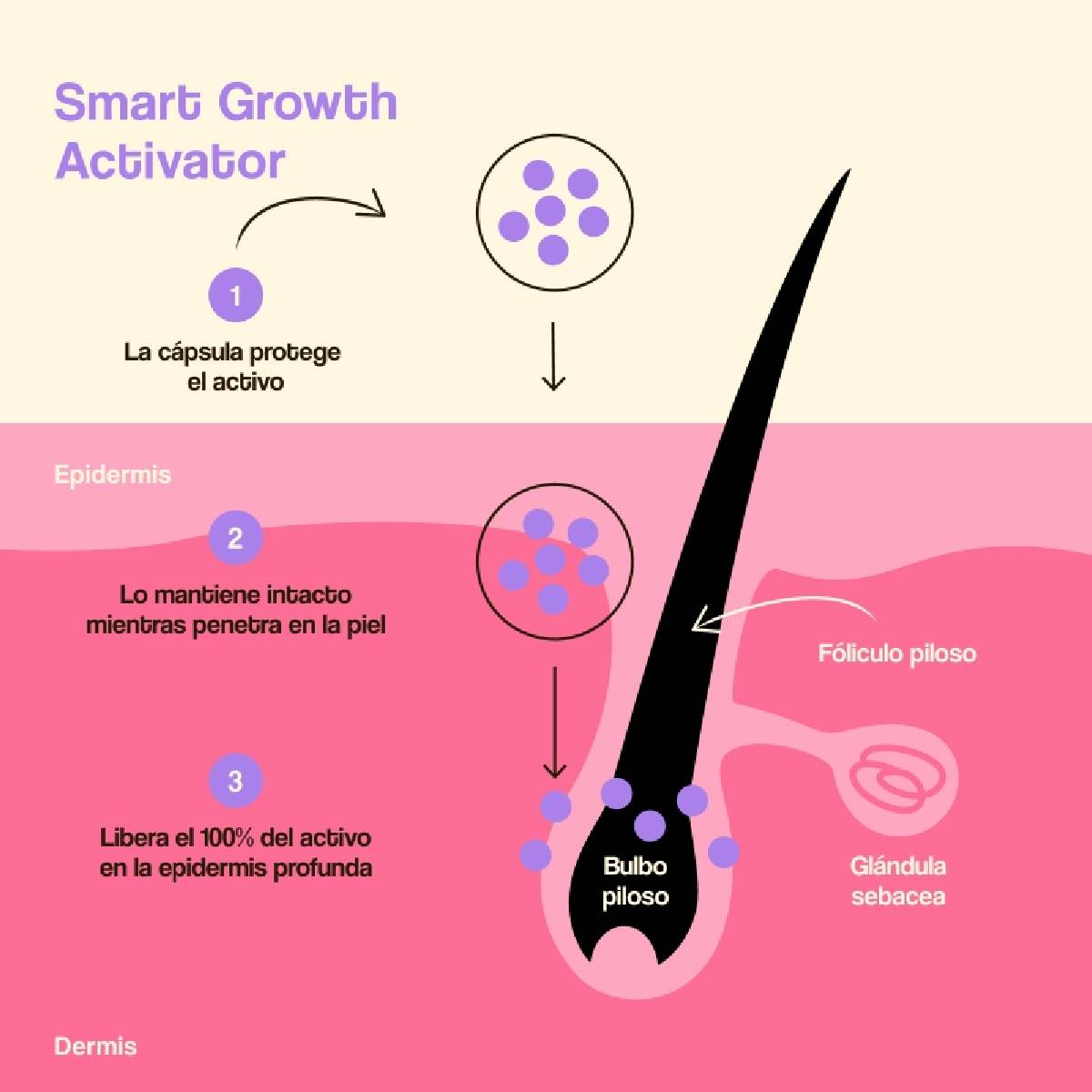 Freshly Hair Growth and Density Treatment 50 ml