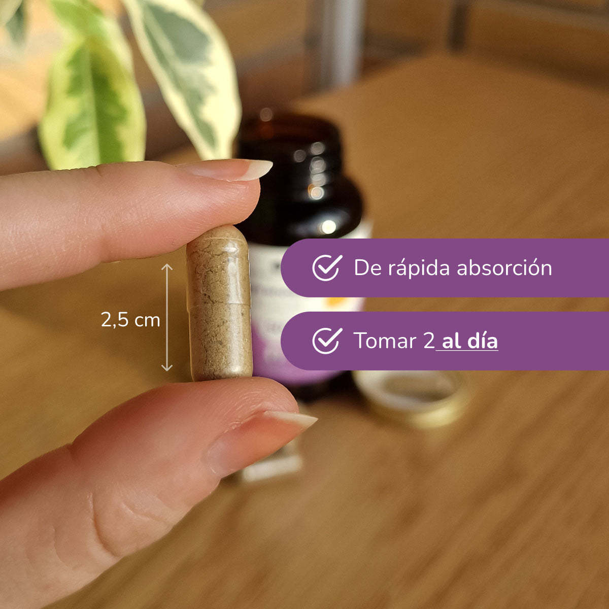 Pack 3xHair Booster pelo, piel y uñas Planeta Huerto 120 cápsulas