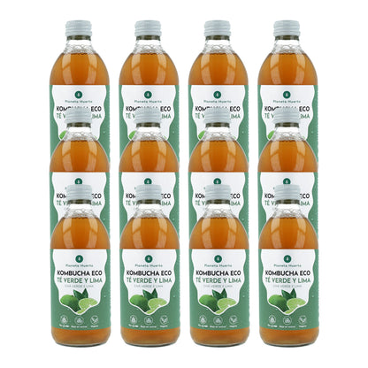 Zestaw 12 sztuk Kombucha ECO zielona herbata i limonka Planeta Huerto 330 ml