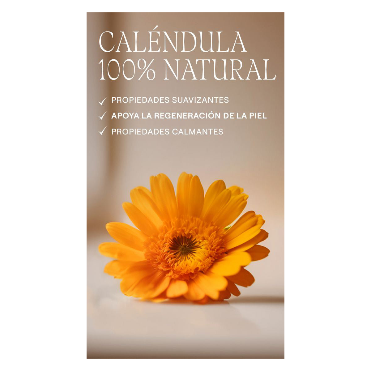 Weleda Nappy Cream, 2 x 75 ml