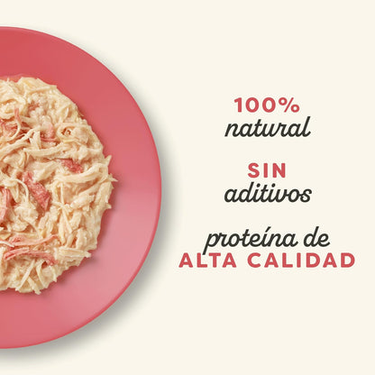 Applaws Cat Dose Huhn und Ente 70 g Natürliches getreidefreies Nassfutter für Katzen