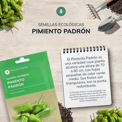 Organic seeds of Padron Pepper Planeta Huerto