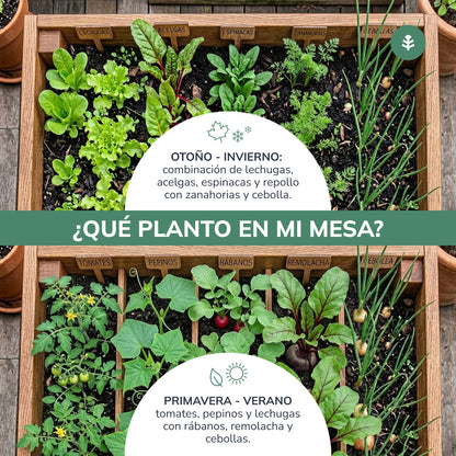 Mesa de Cultivo Huerto (120x80x80cm) L80 Planeta Huerto 160L
