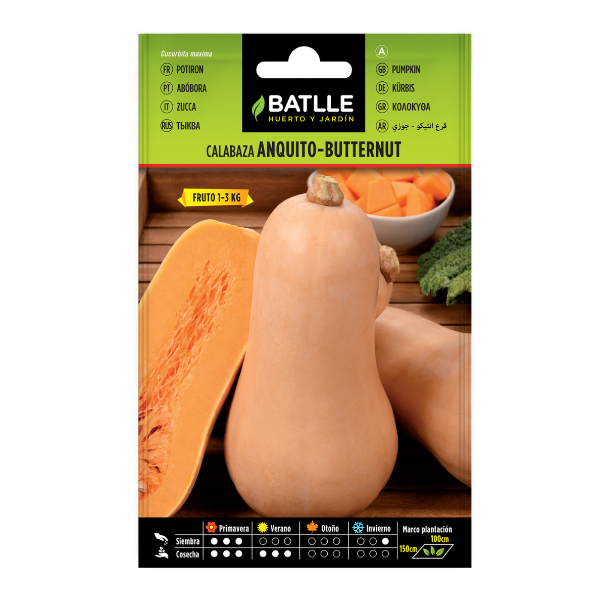 Kürbissamen Anquito-Butternut Batlle