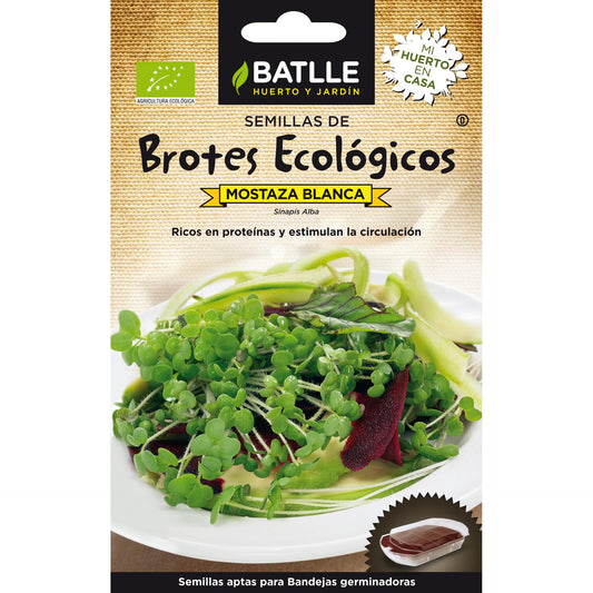 Organic white mustard seeds for sprouting Batlle