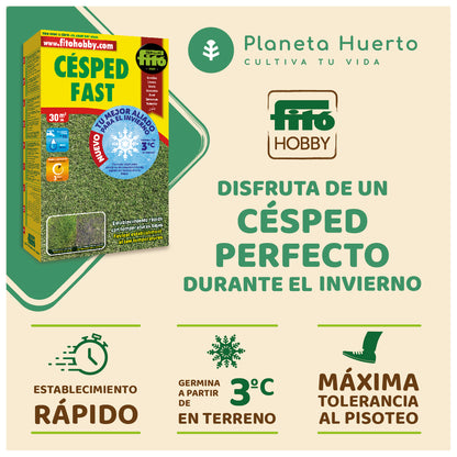 Fast Fitó gräsfrön 1 kg