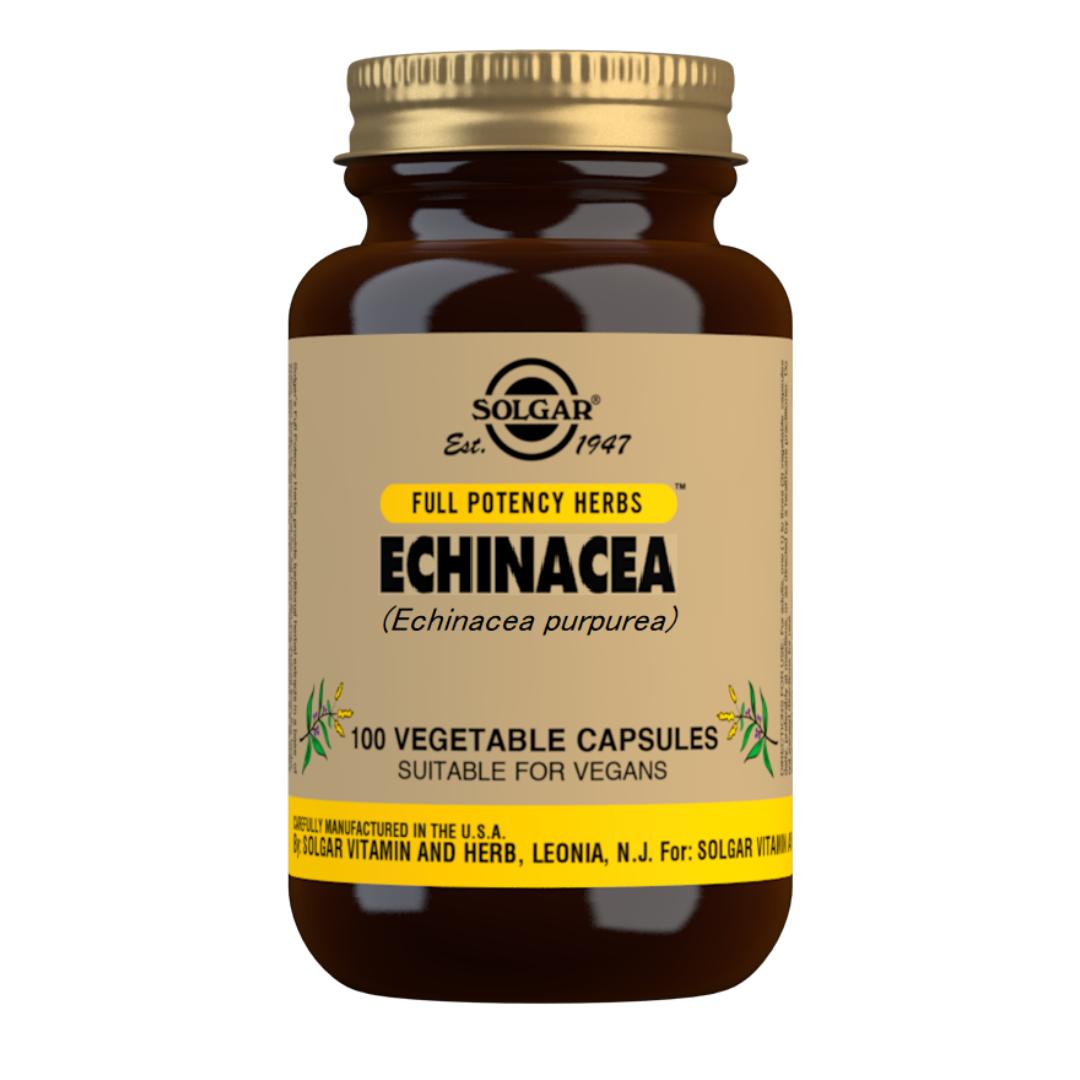 Echinacea, 100 kapsułek po 520 mg