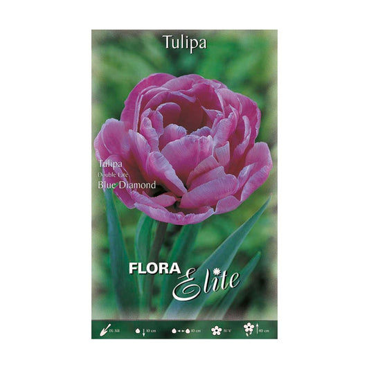 Double Pink Tulip Bulbs 7 pcs
