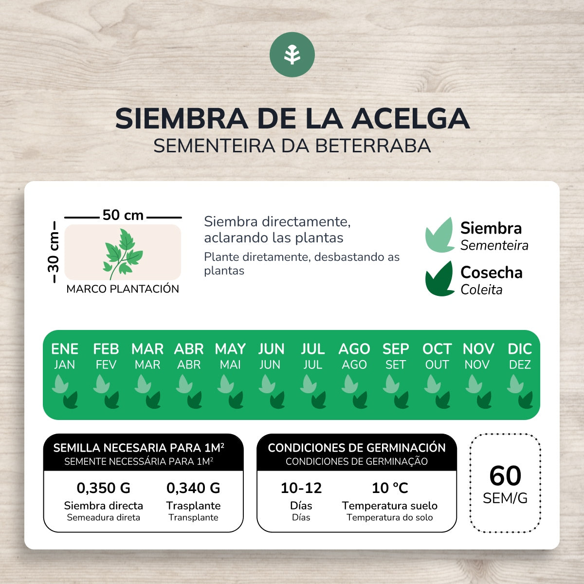 Organic Green Beet Seeds Planeta Huerto