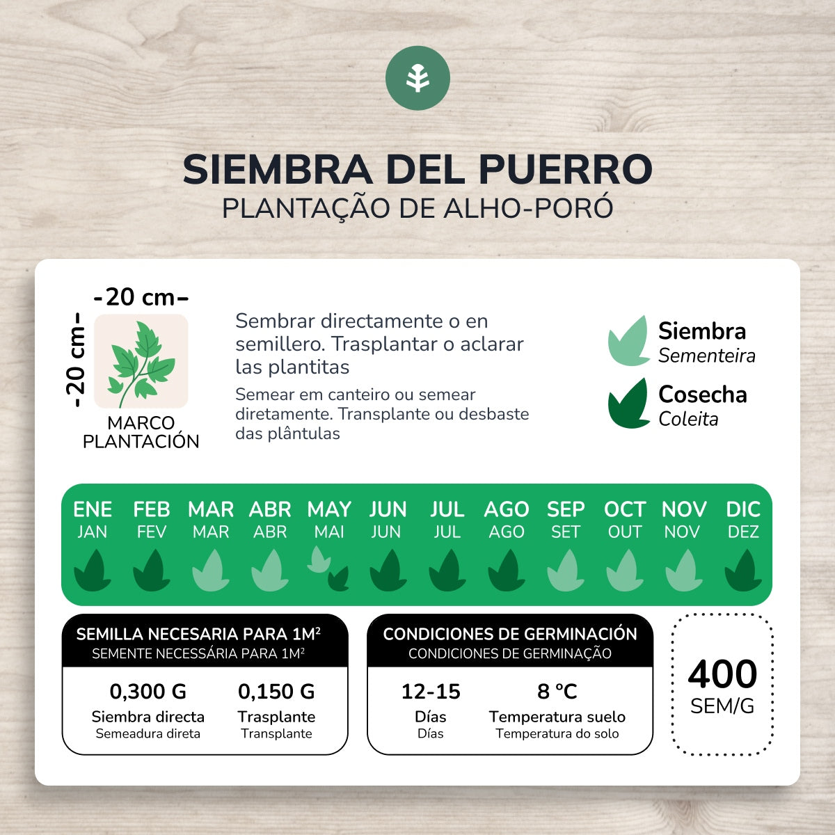 Semi biologici di porro grosso di Carentan Planeta Huerto