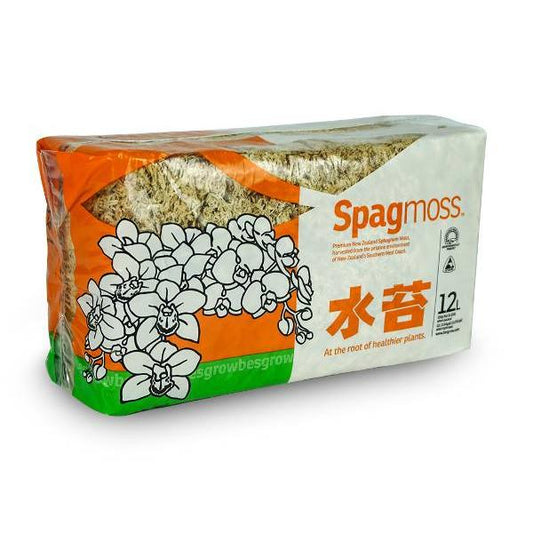 Sphagnum moss substrate for bonsai 150 g