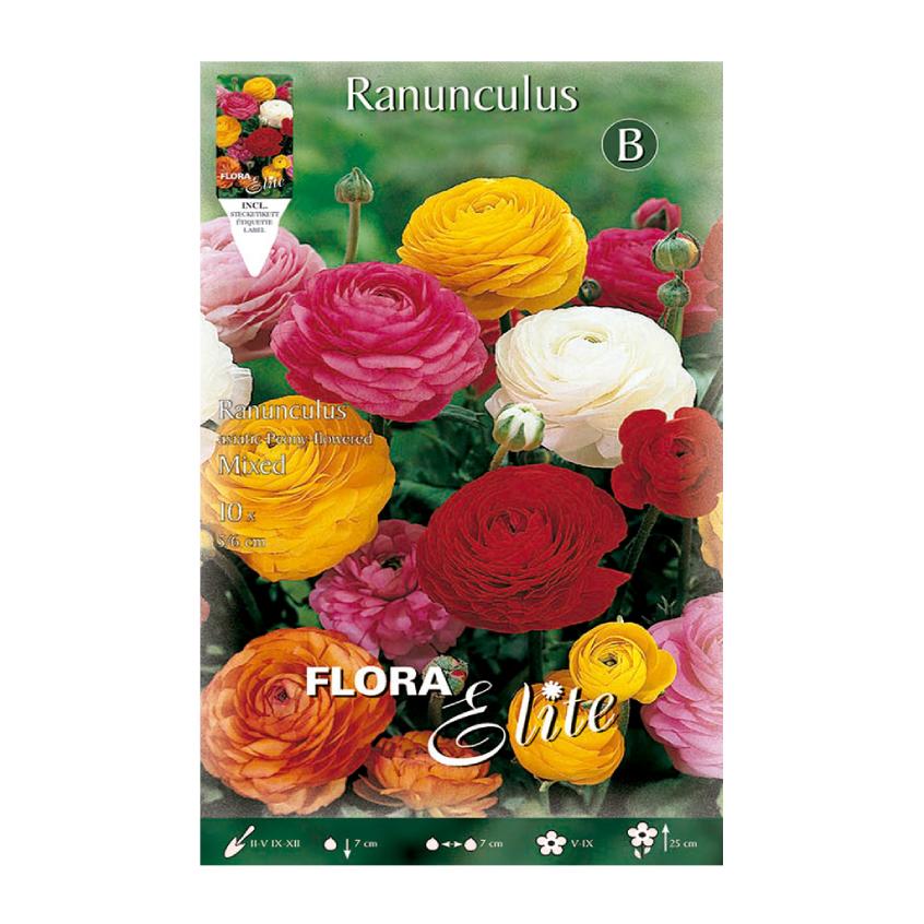 Bulbes de renoncule, mélange de 10 unités