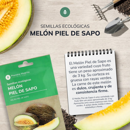 Biologische zaden van Melon piel de sapo Planet Garden