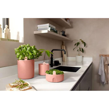 Elho Terra Magic Microgreens Sprouter