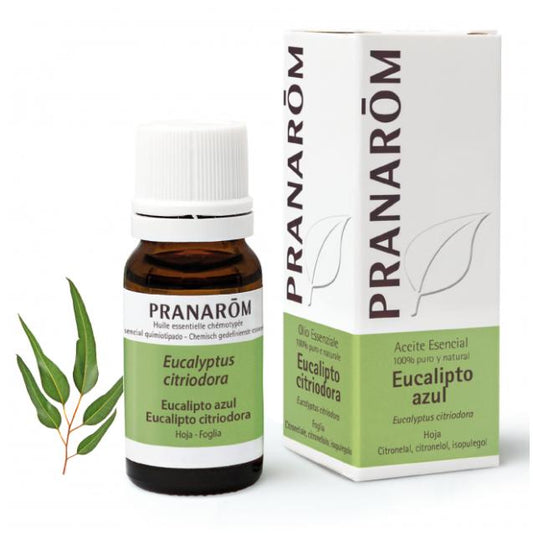 Pranarôm Organic Blue Eucalyptus Citriodora Essential Oil 10 ml