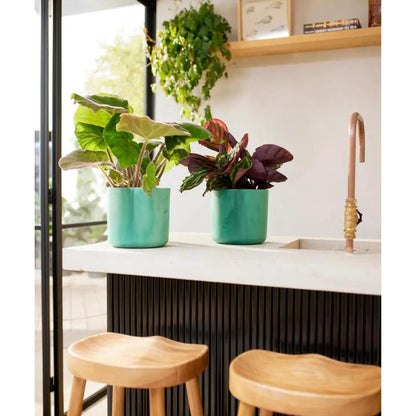 Recycelter Blumentopf Ocean Round Elho pazifischgrün 14 cm