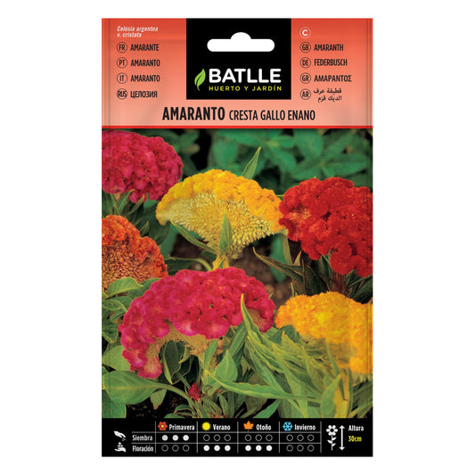 Nasiona amarantusa grzebieniowego Batlle