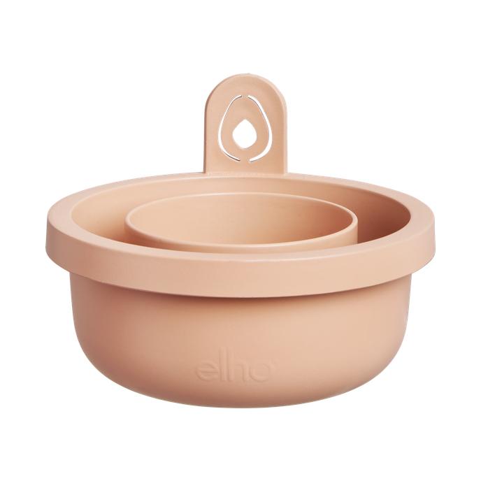 Vaso germinatore per avocado Amazing Avocado Elho Terra