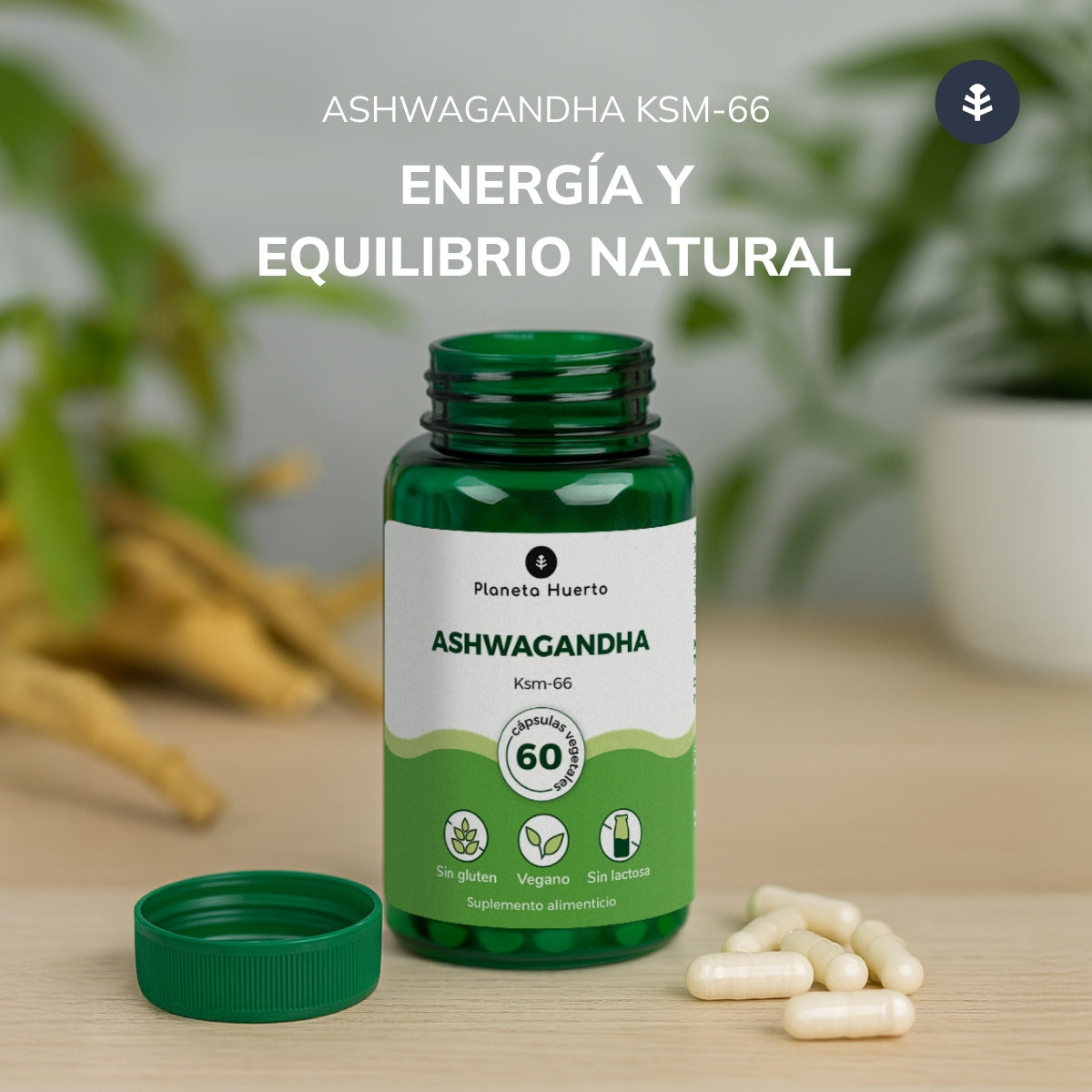 2-pack Ashwagandha KSM-66 Planeta Huerto 60 kapslar