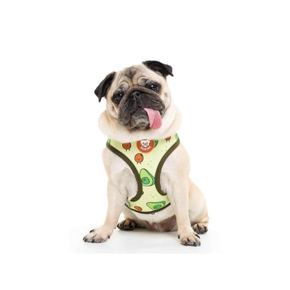 AVOCADO Dukier XL reversible dog harness