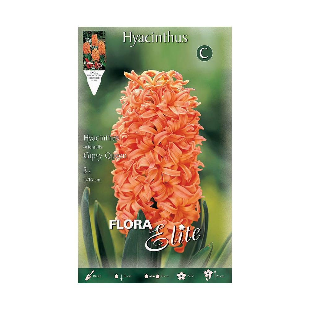 Orange hyacintlökar 3 st