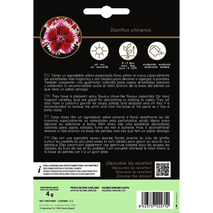 Graines de fleurs comestibles de carneau chinois Rocalba