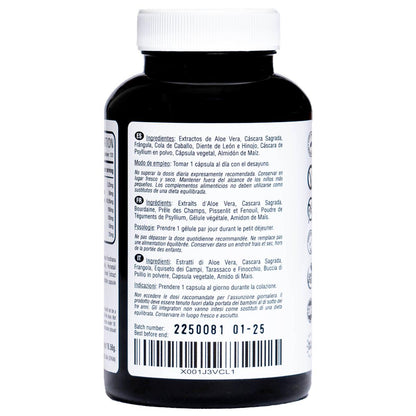 Aloe Vera Detox 120 vegane Kapseln Hivital