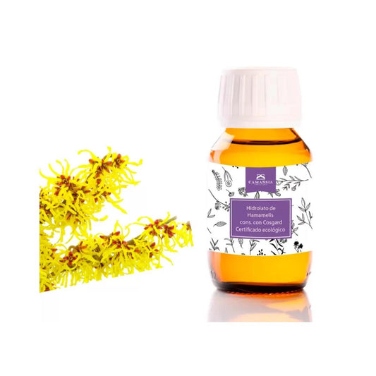 Hamamelis-Hydrolat mit Cosgard BIO, 100 ml. Camassia