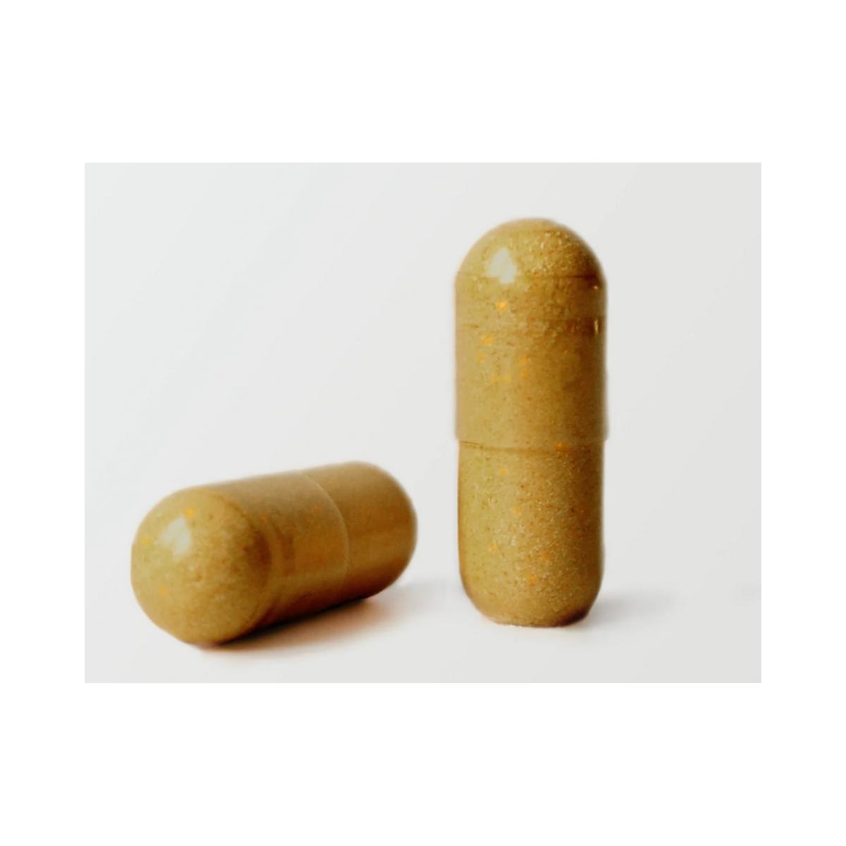 Marietistel med kronärtskocka, gurkmeja, maskros och desmodium 150 kapslar. Aldous Labs