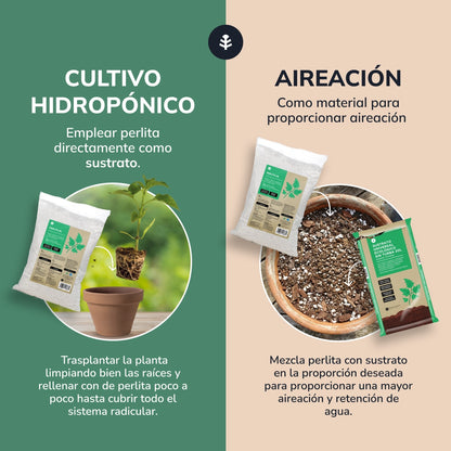 Perlite Planeta Huerto 8 liter