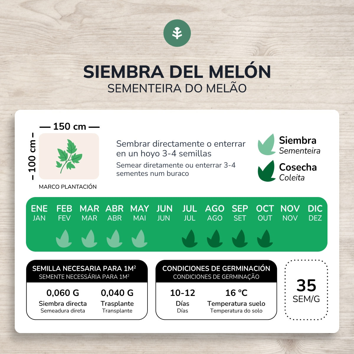 Biologische zaden van Melon piel de sapo Planet Garden