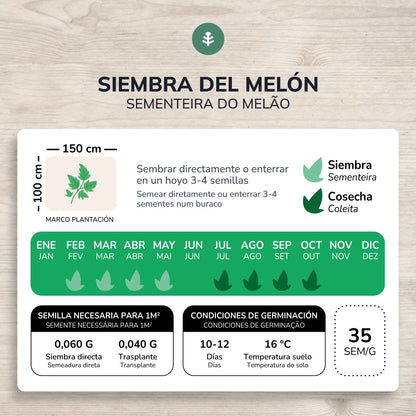 Biologische zaden van Melon piel de sapo Planet Garden