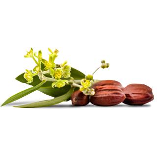 Masque volume - Brown Lavera 9 ml