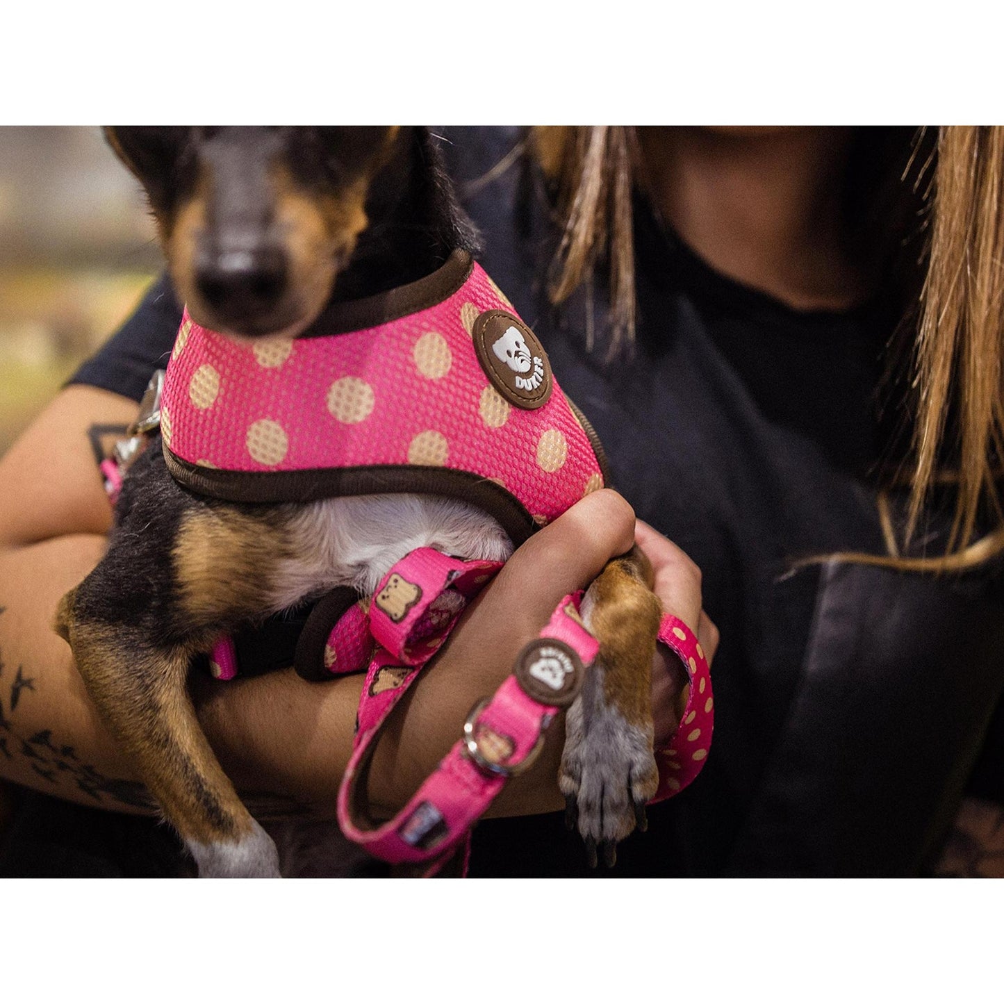 Vändbar hundsele DOGTELLA Dukier L