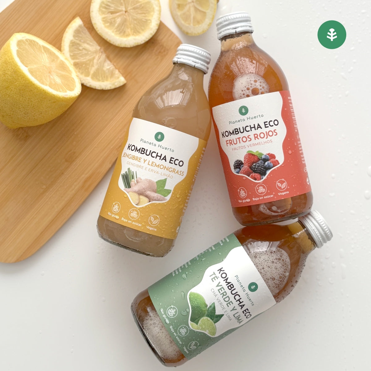 Opakowanie 6x Kombucha ECO zielona herbata i limonka Planeta Huerto 330 ml
