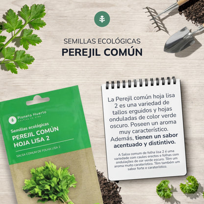 Ekologiska frön av vanlig bredbladig persilja Planeta Huerto