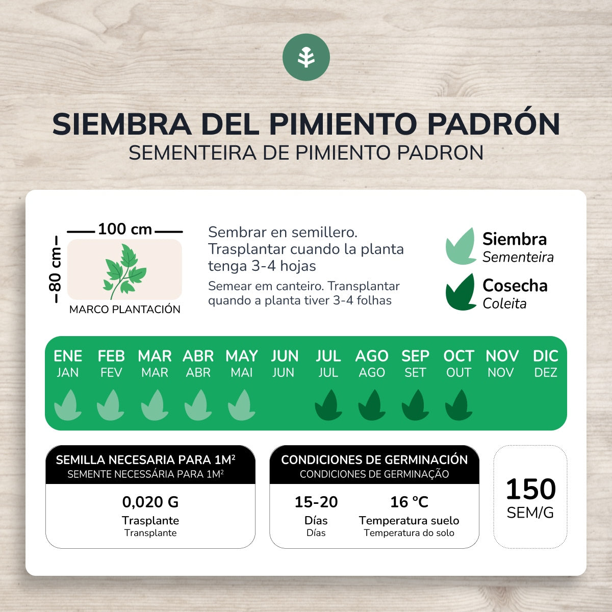Organic seeds of Padron Pepper Planeta Huerto