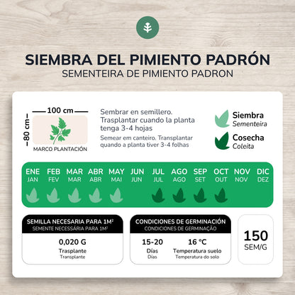 Organic seeds of Padron Pepper Planeta Huerto
