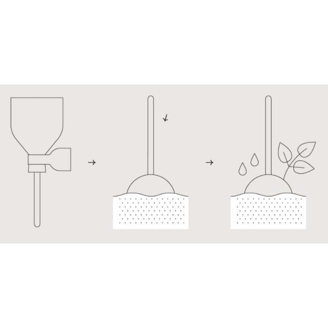 Desserts Garden Lollipop Samen