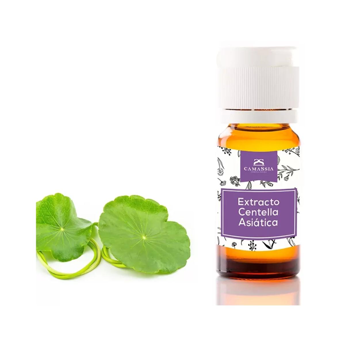 Extrakt aus Centella asiatica, 10 ml . Camassia